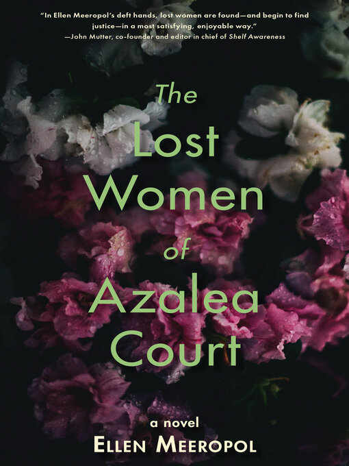 Title details for The Lost Women of Azalea Court by Ellen Meeropol - Available